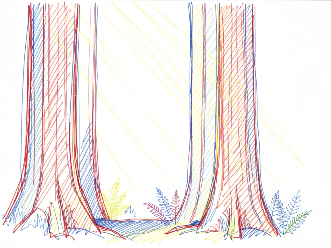 An ancient redwood forest with sunbeams piercing the canopy onto a fern-covered floor