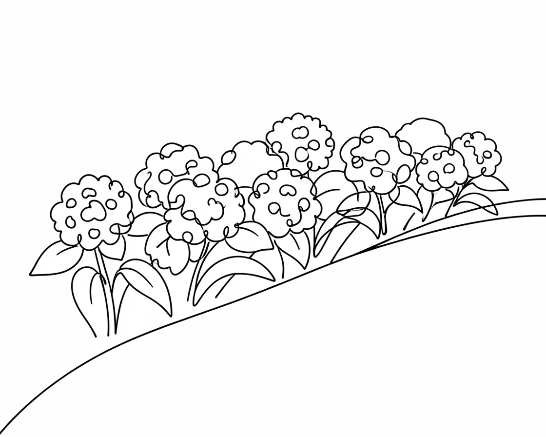 A bed of hydrangeas with round clustered blossoms lining a garden path