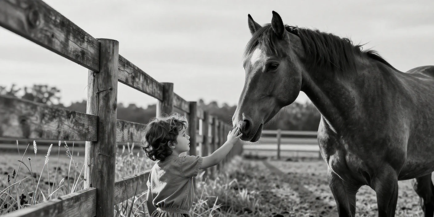A horse nuzzles a child's outstretched hand across a fenced paddock.