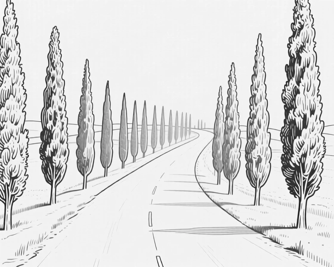 A row of cypress trees lining a countryside road