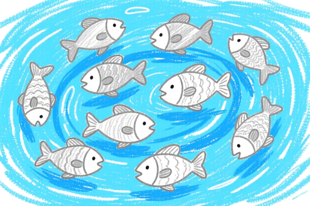 A school of silver fish swirling together in clear blue water.