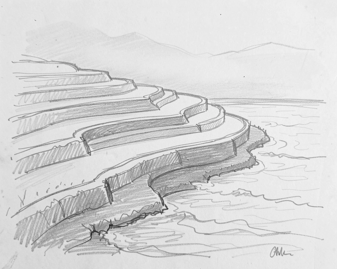 A terraced rice paddy at dawn, shrouded in gentle fog, with gentle waves lapping at the shore.