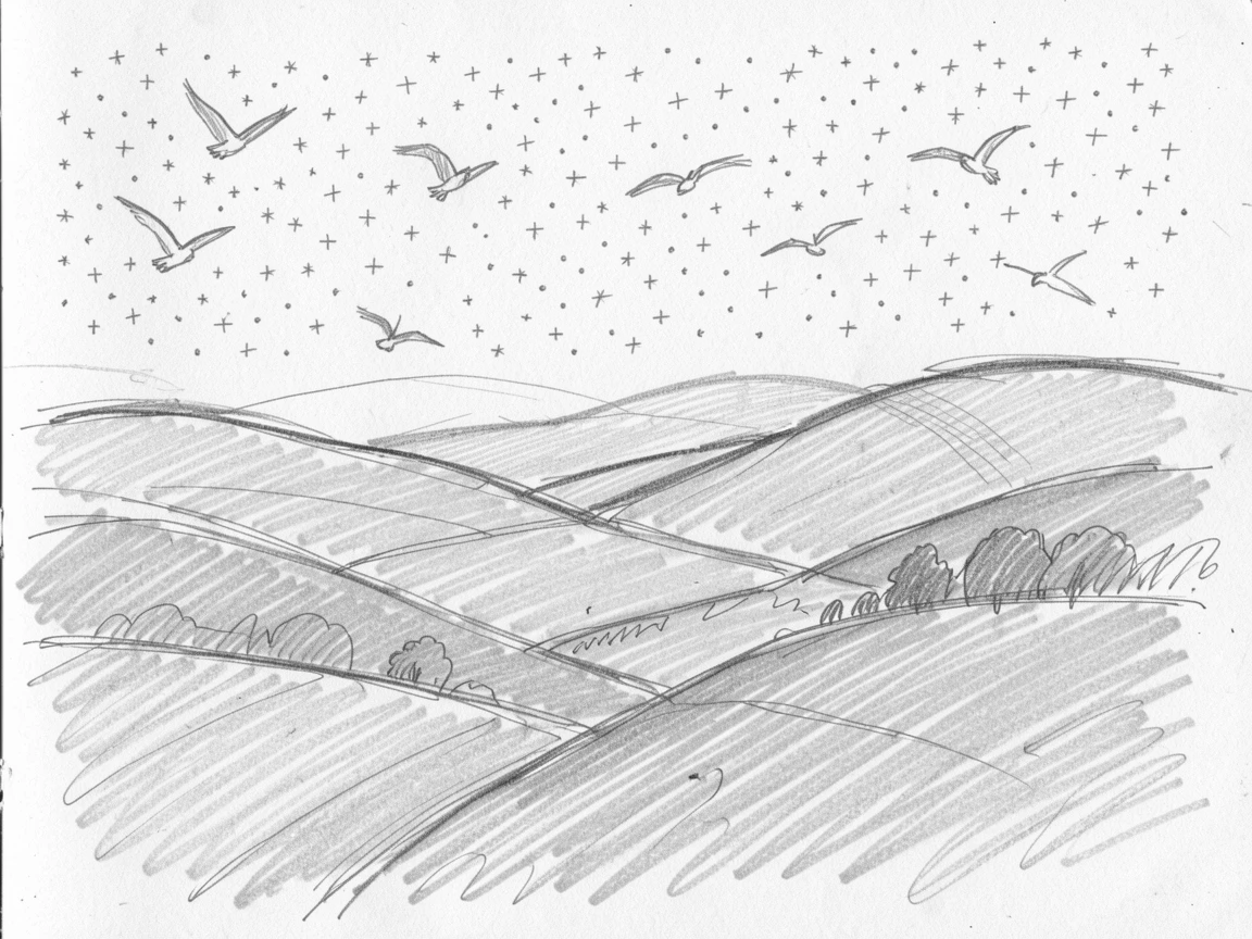 Sweeping landscape of a rolling green countryside beneath a sky full of stars, with birds soaring overhead.