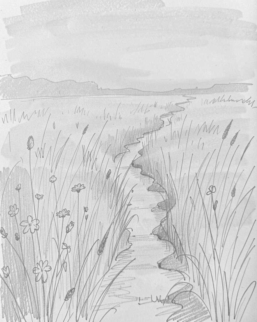 A meadow blanketed in morning fog, glowing under the last light of sunset, with a narrow path leading into the distance.