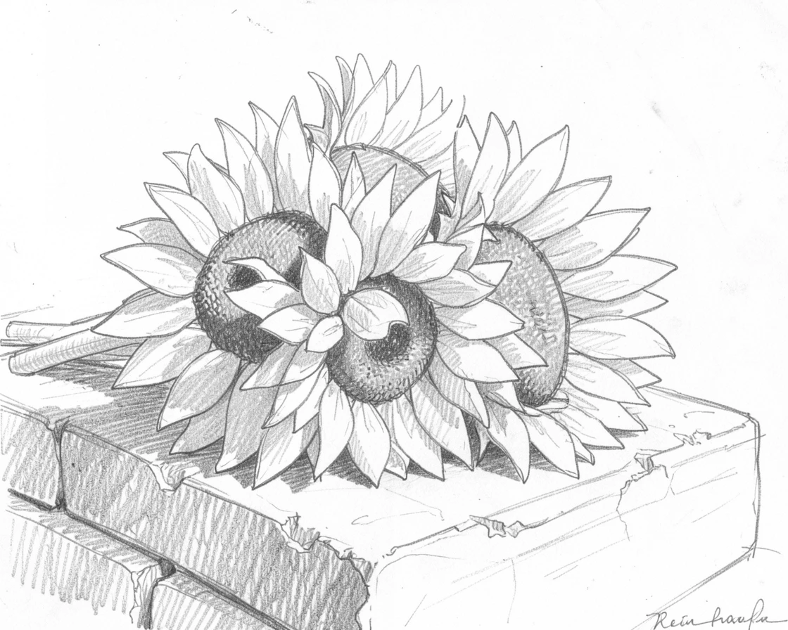A close-up still life of a bundle of sunflowers on an old stone step, with soft petals catching the light.