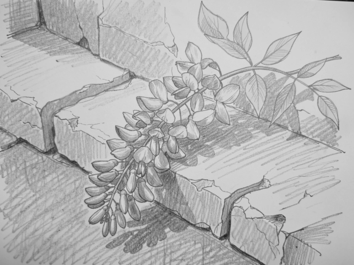 A close-up still life of a sprig of purple wisteria on an old stone step, glowing softly in the late afternoon light.