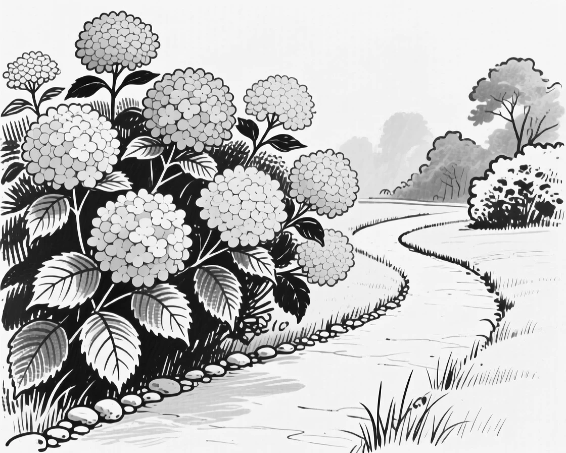 A cluster of hydrangeas in soft blue and pink clusters along a garden path.