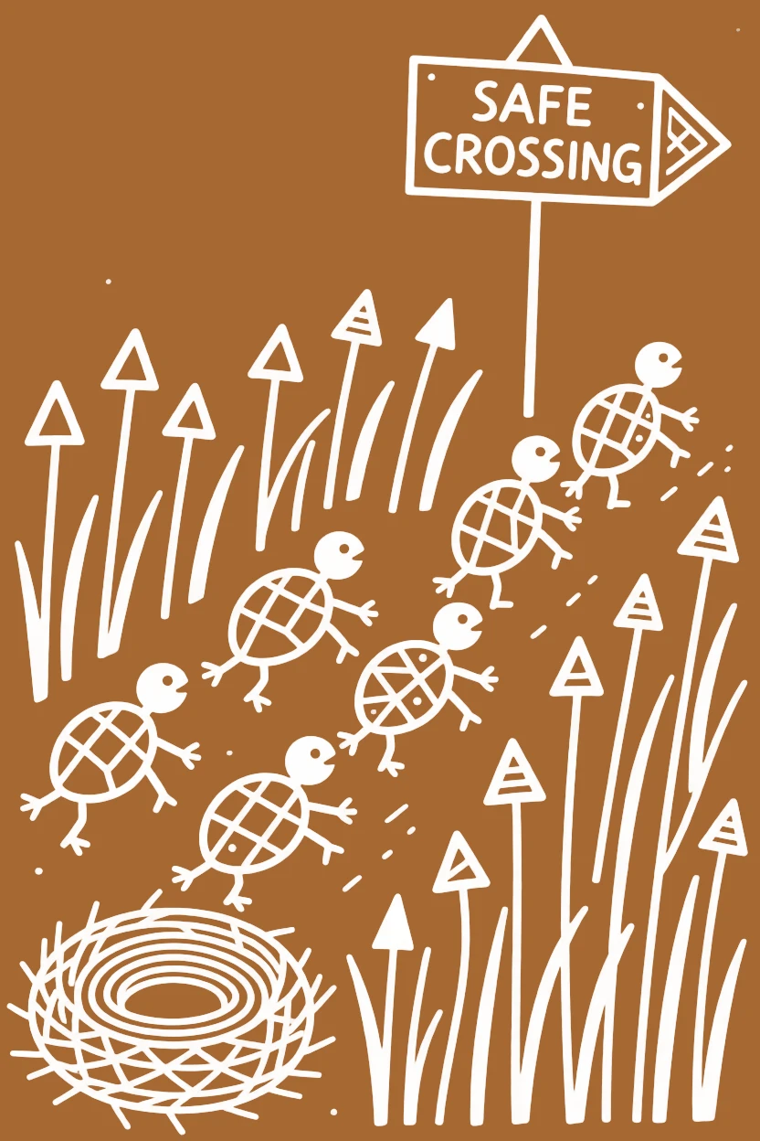 A nest of turtle hatchlings crossing a field of tall grass.