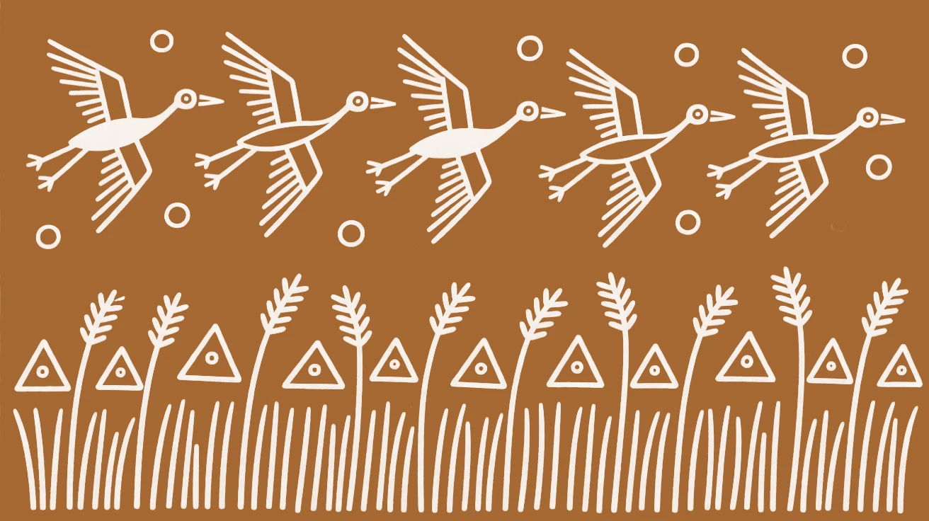 A flock of migrating cranes crossing a field of tall grass.
