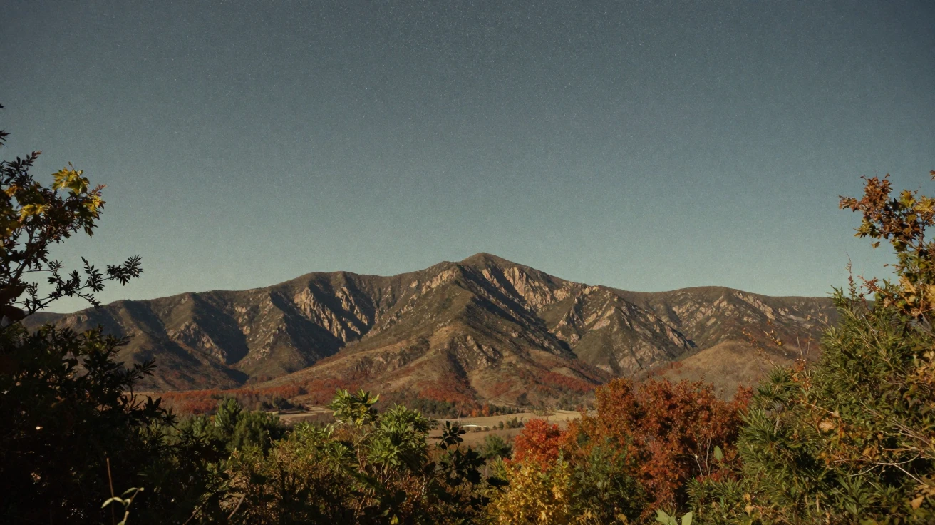 A shooting star streaking across a clear night sky over mountains, under a canopy of stars, on a clear, cloudless day, as summer fades into fall, with muted olive and rust colors, peering through foliage in the foreground.