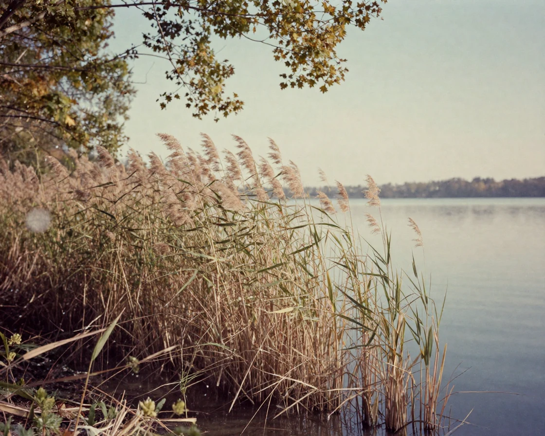 Reeds swaying gently along the marshy edge of a lake, in dappled light filtering through leaves, amid gently falling snow, in the mild days of early autumn, in soft muted pastels, from behind, looking toward the horizon.