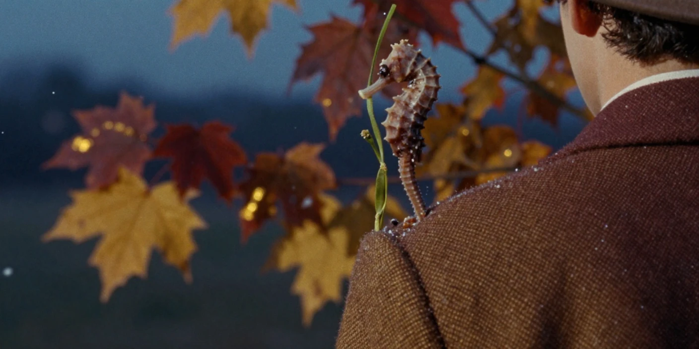 A seahorse clinging delicately to a strand of sea grass, in cool blue twilight, amid gently falling snow, as autumn leaves turn gold and red, with rich burgundy and gold accents, over the shoulder of the main subject.